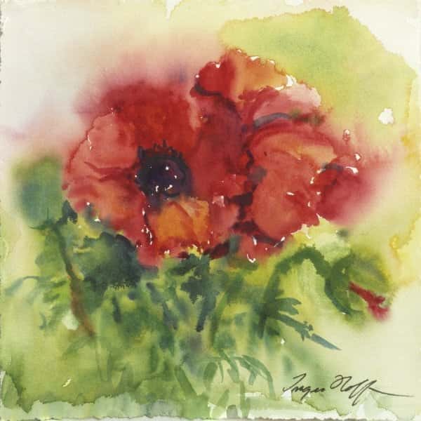 Valmue av Inger Hoff